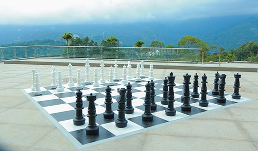 Wayanad honeymoon hotels