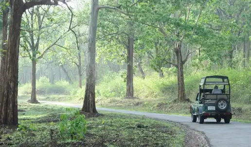 accommodation Wayanad